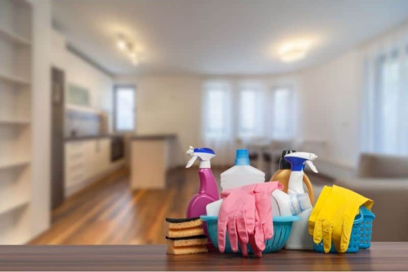 regular house cleaning vs deep cleaning