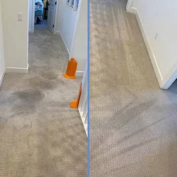 before-after-carpet-cleaning-b19ccc3f